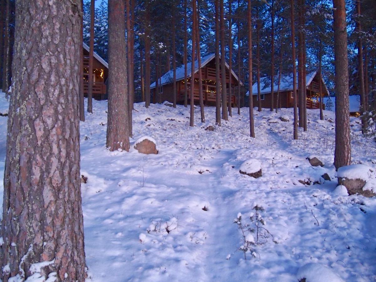 Villa Koskenselaen Lomakylae à Puumala Extérieur photo
